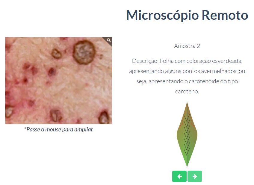 microscopio_remoto.png
